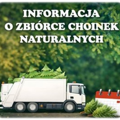 Zdjęcie Informacja o zbiórce choinek naturalnych